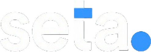 Seta